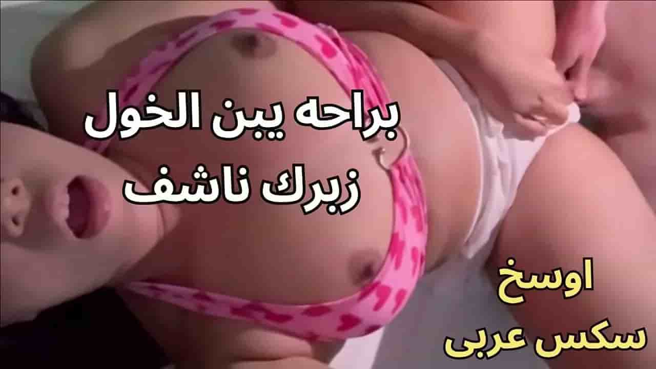 اوسخ سكس عربي ميلف كسها نار تتناك من دكر ناشف