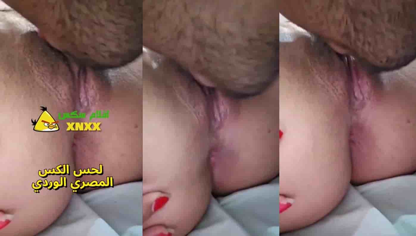 فيديو سكس عربي جديد لحس كس وردي بعد الانتهاء من الجنس