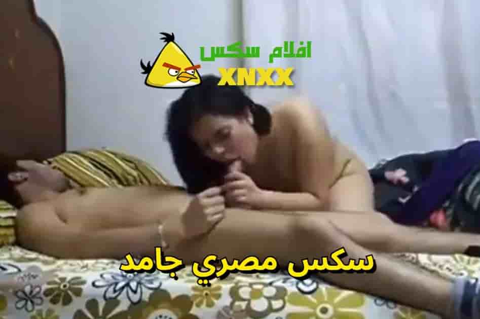 فيلم نيك مصري كامل مع شرموطة خبرة في الجنس علي موقع سكس عربي