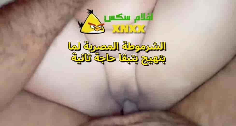 موقع سكس عربي فيديو حسام عنتيل الجيزة مع زوجة عمه ايمان نيك مصري