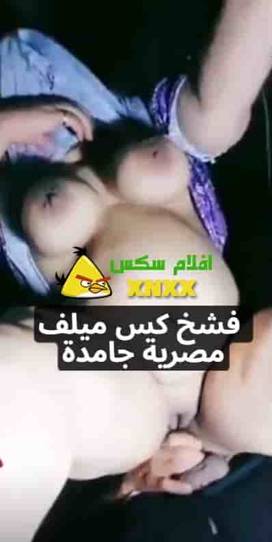 فحل ينيك عربية ميلف لابسة جلابية و بزازها الاتنين طالعين برا
